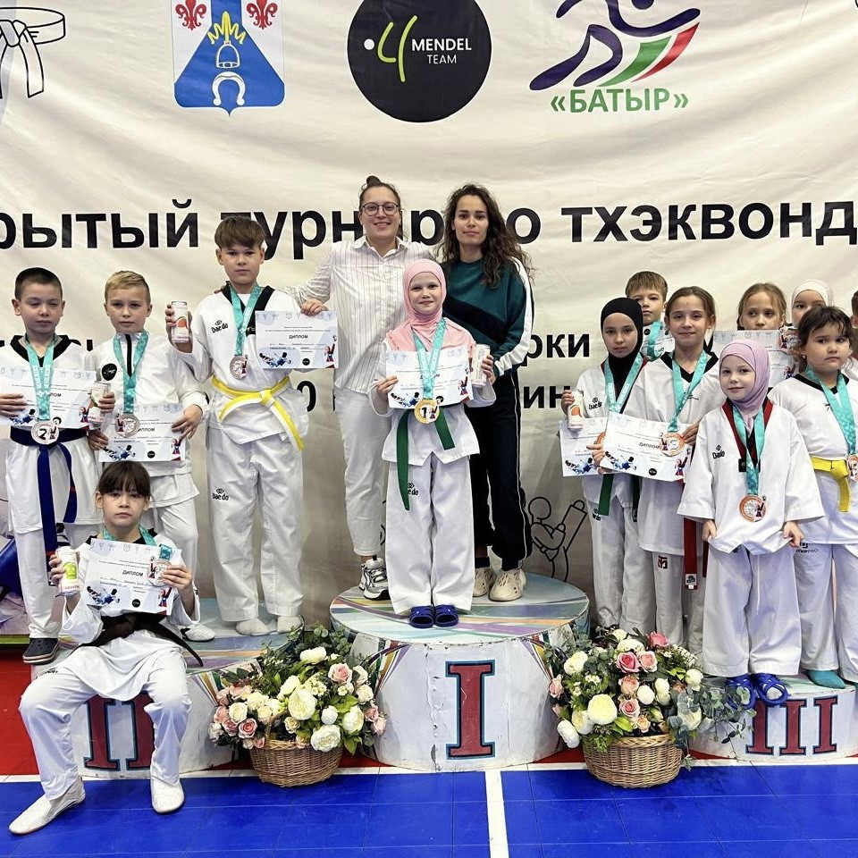 Елабуга в тройке лидеров открытого турнира по тхэквондо